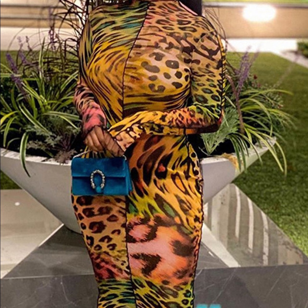 Leopard Print Bodycon Dress.